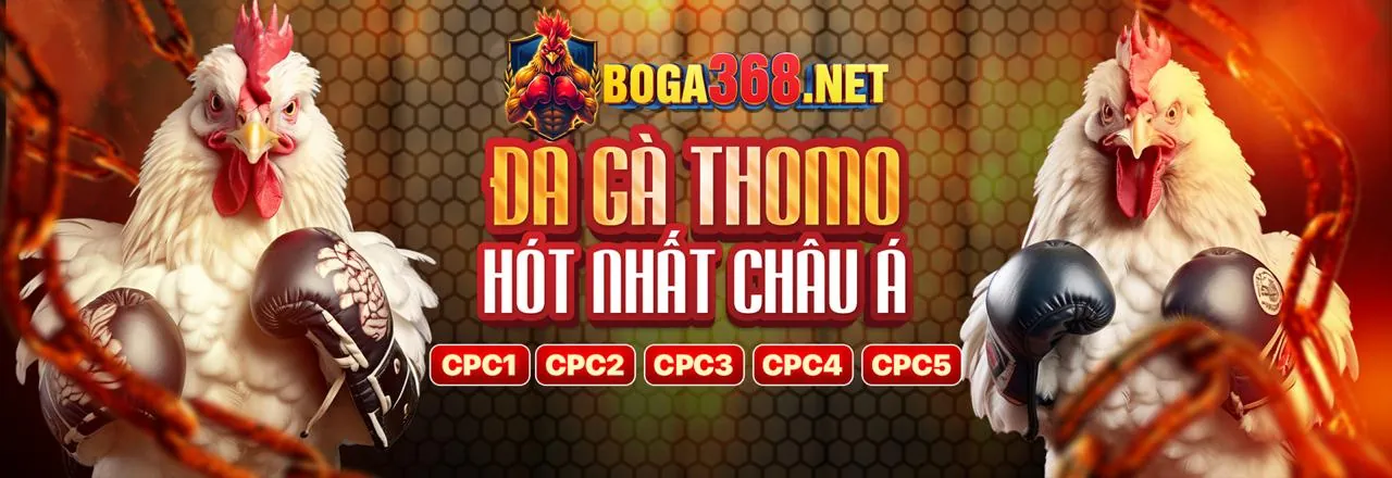 Giao diện đăng nhập VNDWIN an toàn và nhanh chóng