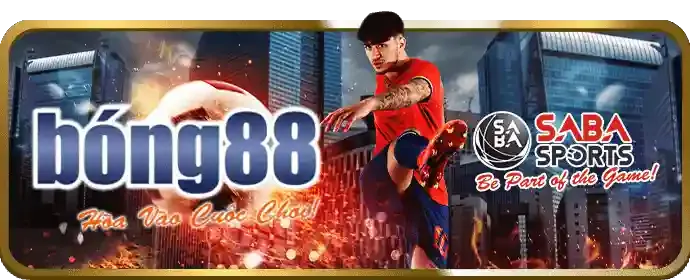 Sân vận động bóng đá với các biểu tượng cá cược thể thao vndwin